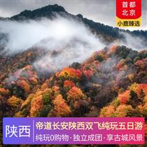 帝道長安陜西雙飛純玩五日游(共赴一場穿越千年的光影之旅，沉浸式唐風市井生活文化街區)